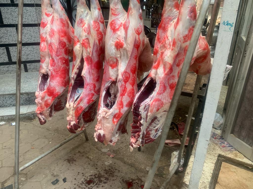 حاتي ابو الخير المنشية