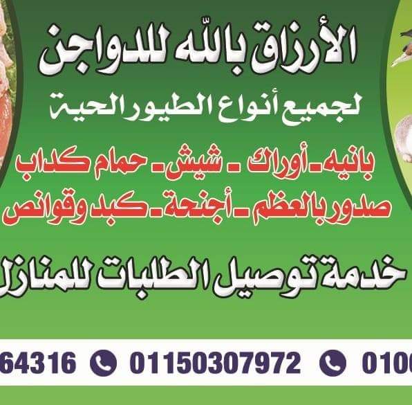 الارزاق بالله للدواجن
