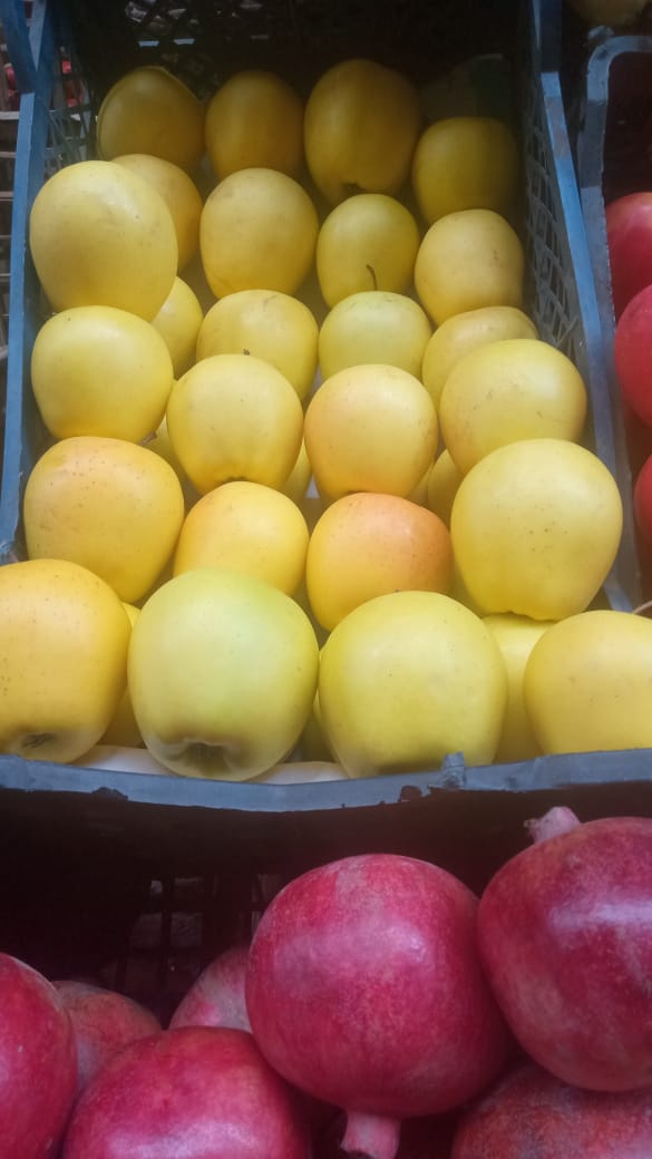 بخيت الصعيدي