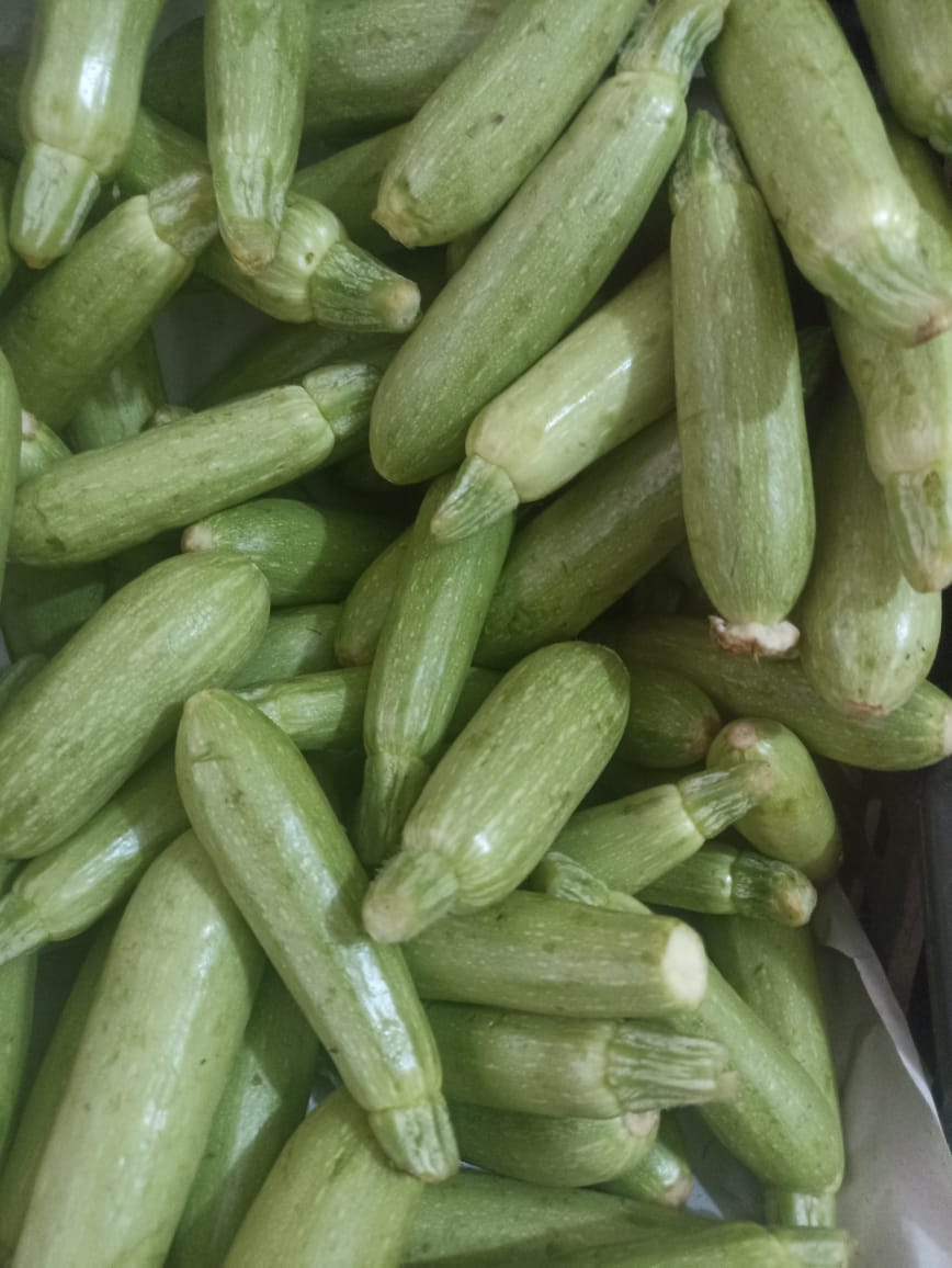 بخيت الصعيدي
