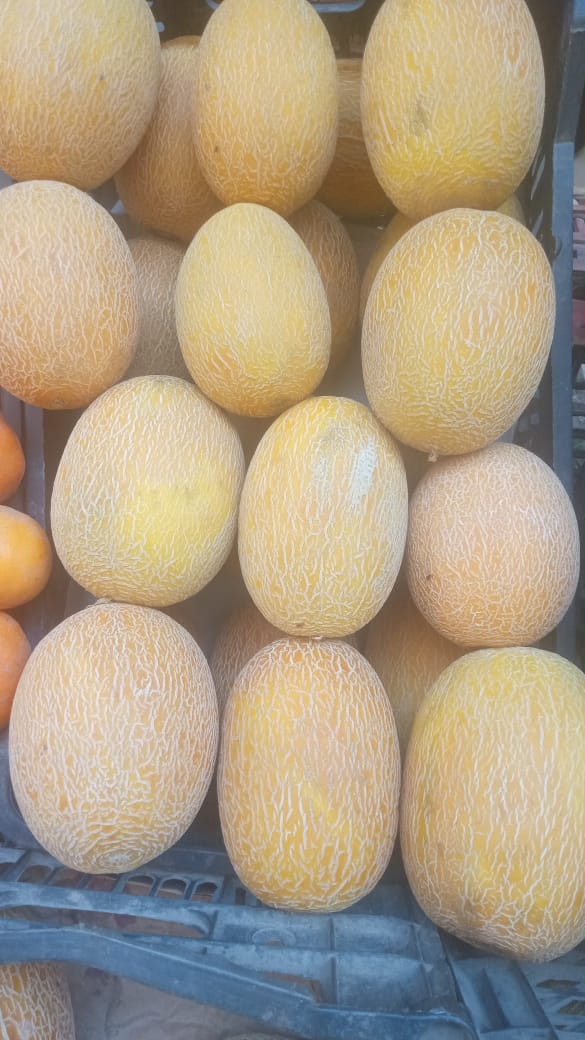بخيت الصعيدي