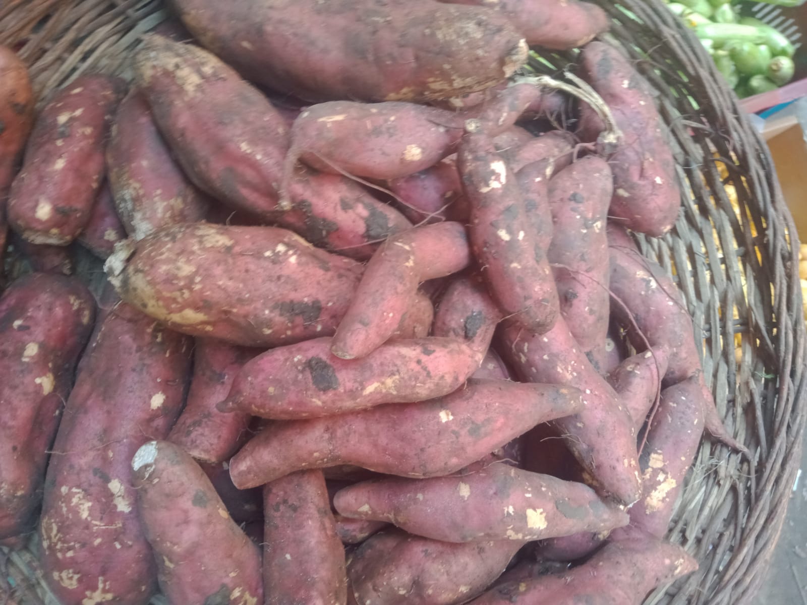 بخيت الصعيدي