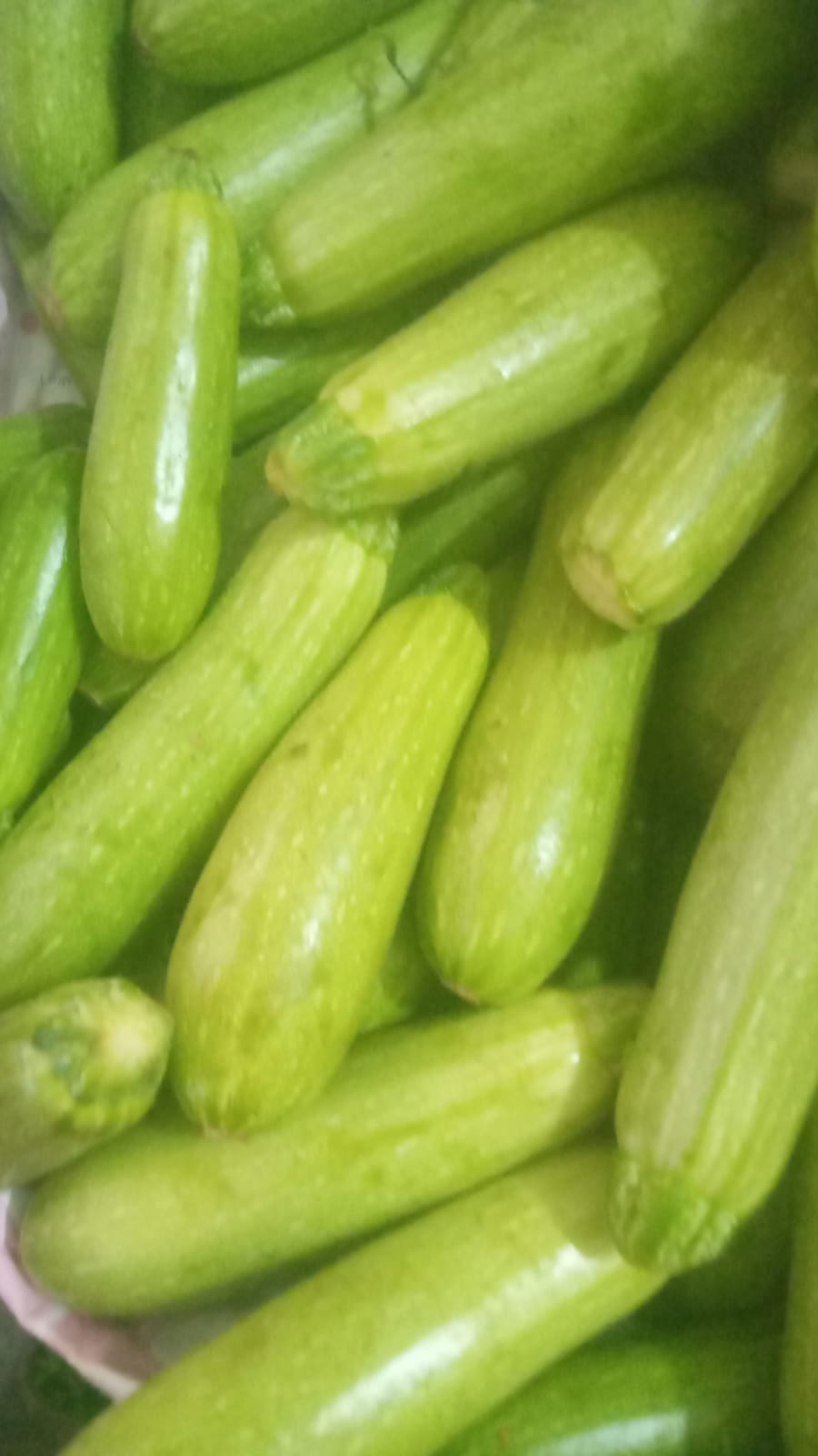 بخيت الصعيدي