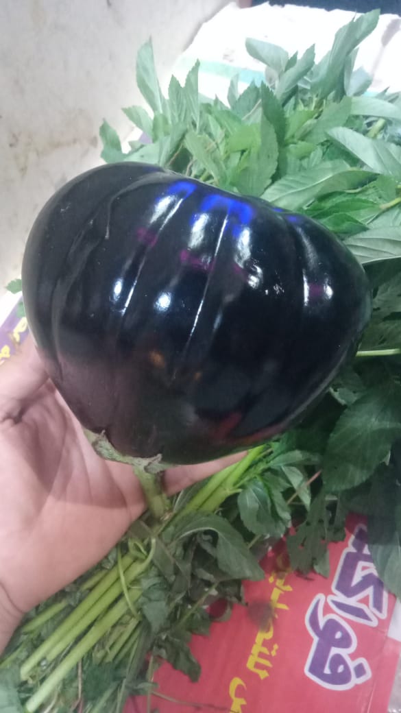 بخيت الصعيدي