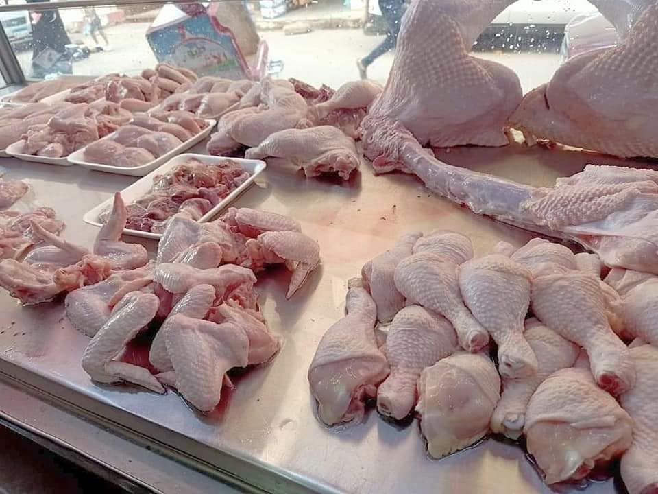 طيور نهله