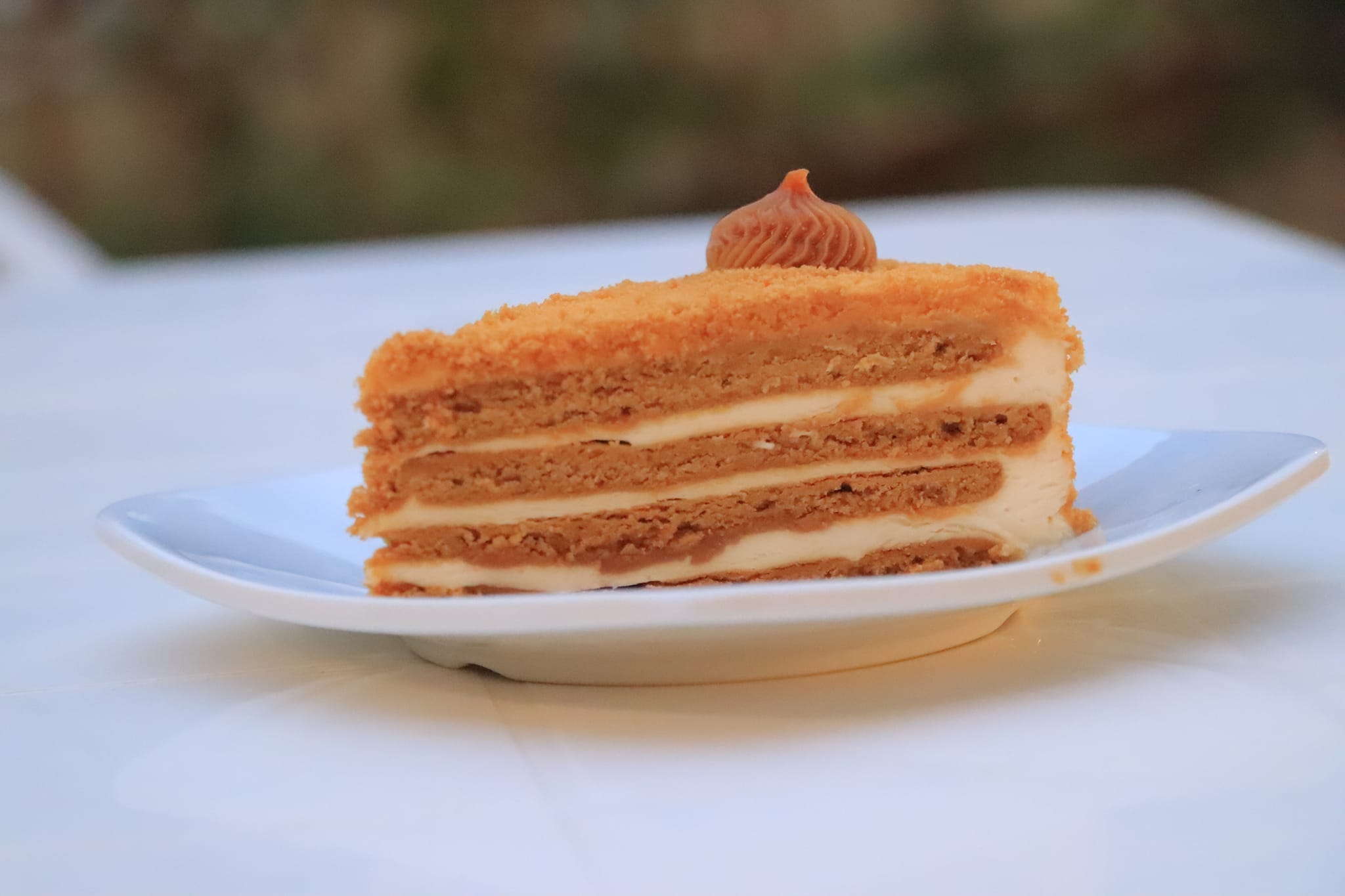 واحة عطا الله